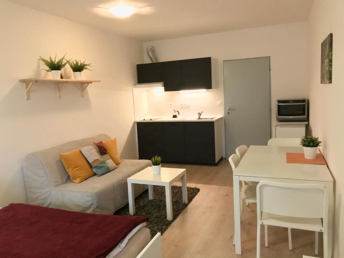 Certovka Trojka - Apartman Harrachov Eksteriør billede